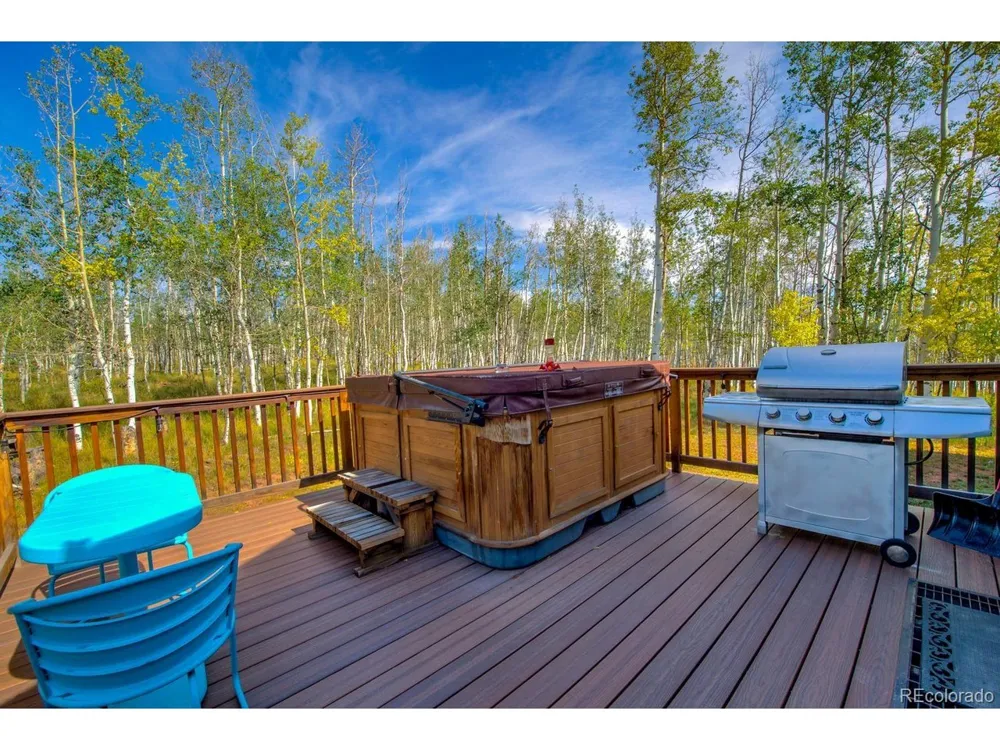 331 Canthook Lane Fairplay, CO 80440