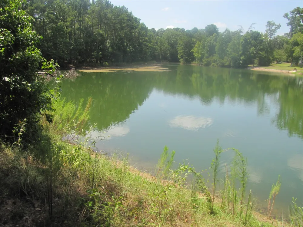 Tree Farm Rd Magnolia, TX 77354