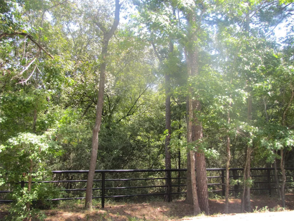 Tree Farm Rd Magnolia, TX 77354