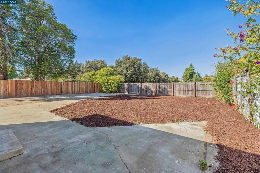 39062 Mount Vernon Ave Fremont, CA 94538