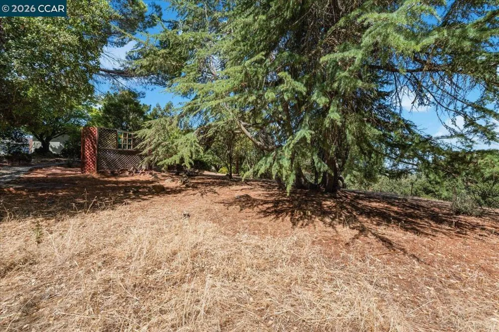 4848 Venner Rd Martinez, CA 94553