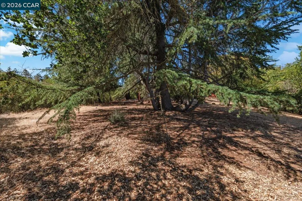 4848 Venner Rd Martinez, CA 94553