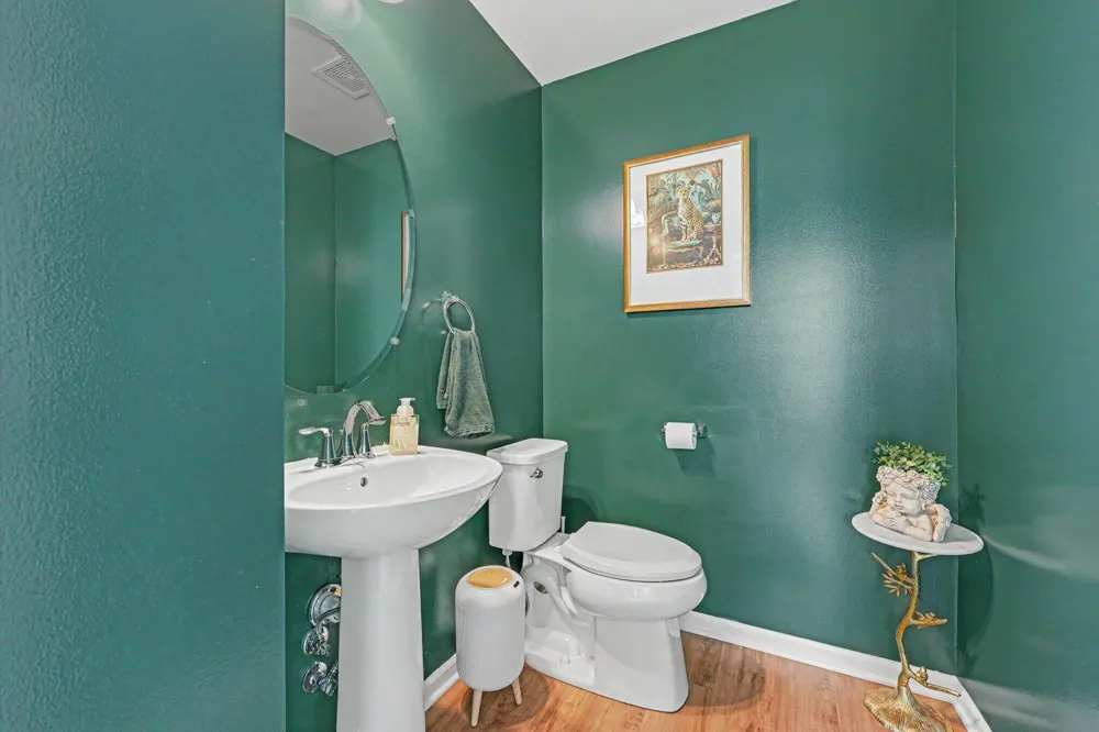 2401 Salt Springs Drive Saline, MI 48176