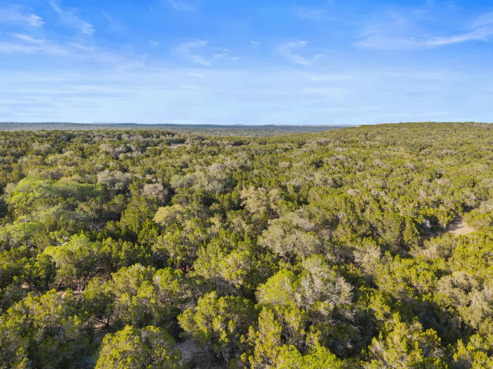 669 El Rancho Cima Fischer, TX 78623