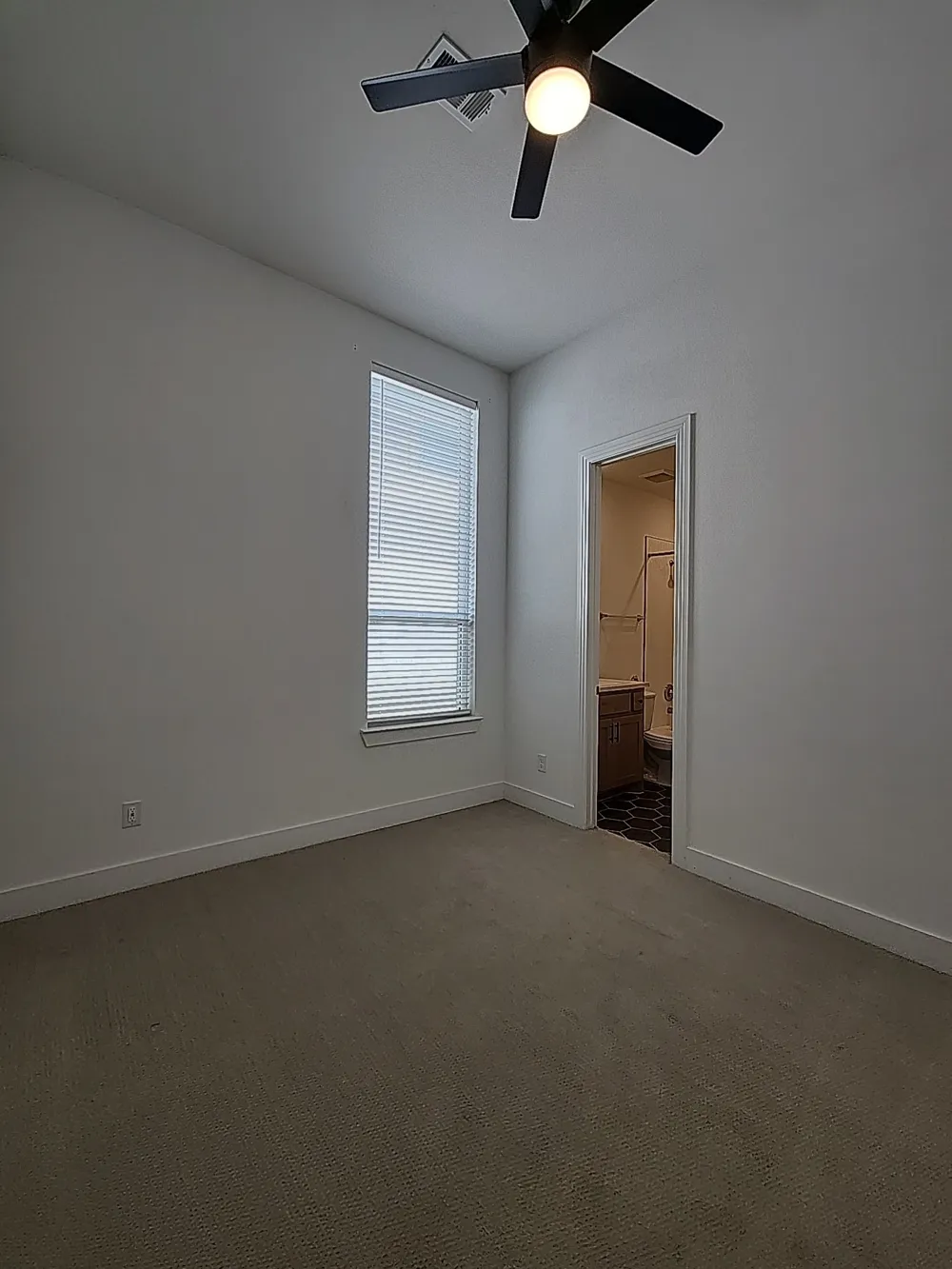 1149 Superbloom Avenue Justin, TX 76247