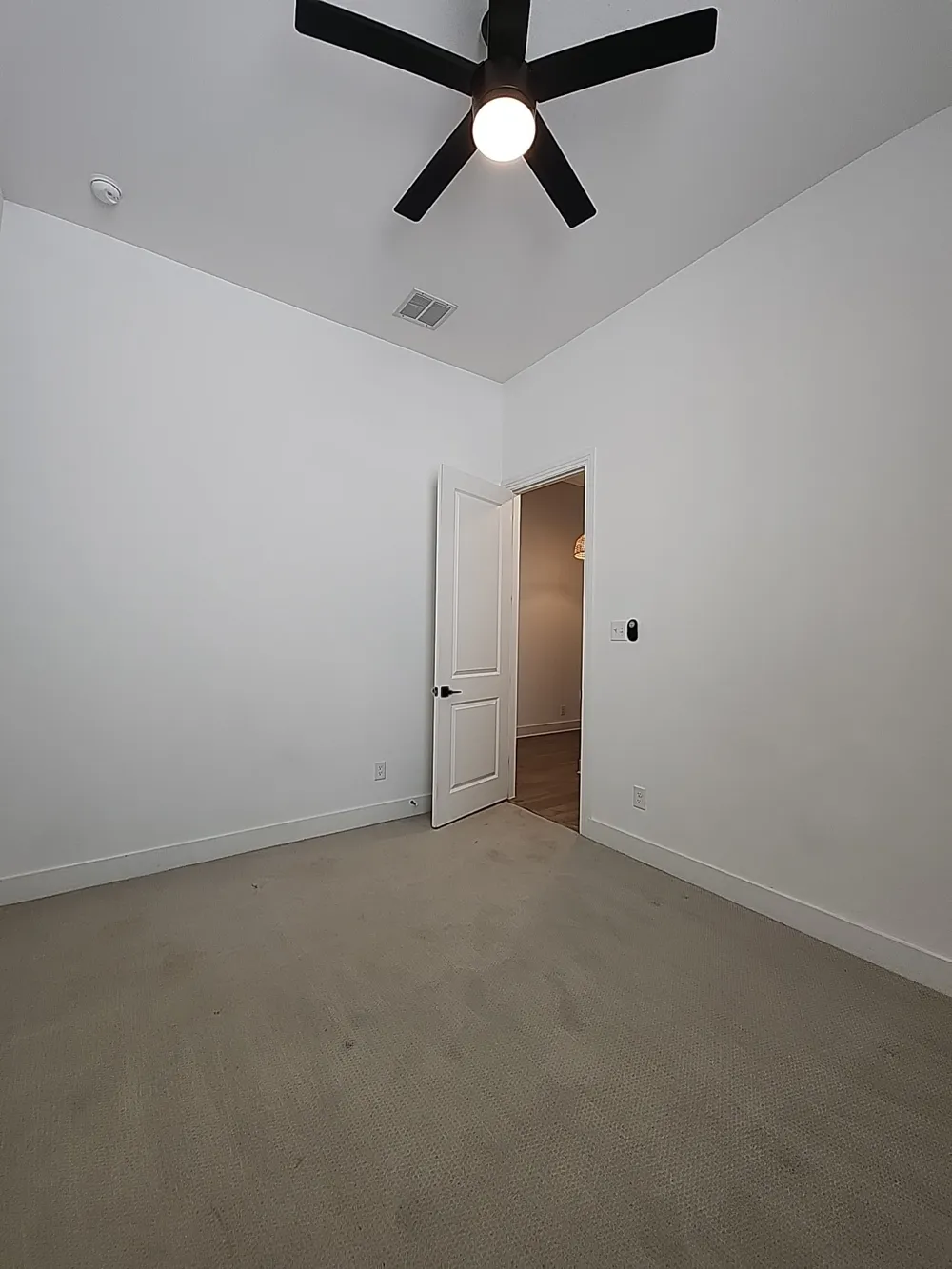 1149 Superbloom Avenue Justin, TX 76247