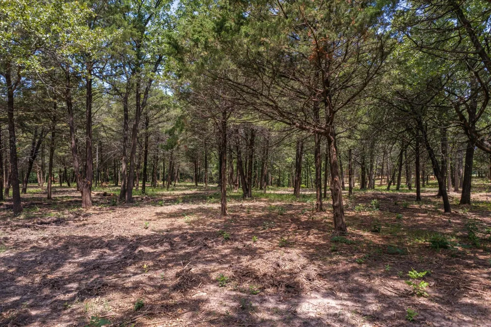 4423 County Road 3706 Wills Point, TX 75169