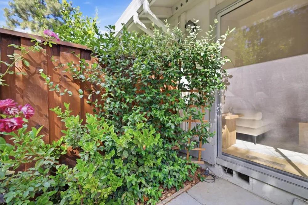 10939 Northshore Square Cupertino, CA 95014