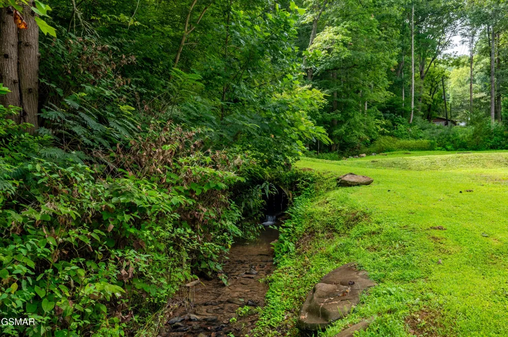4129 Manis Hollow Road Gatlinburg, TN 37738