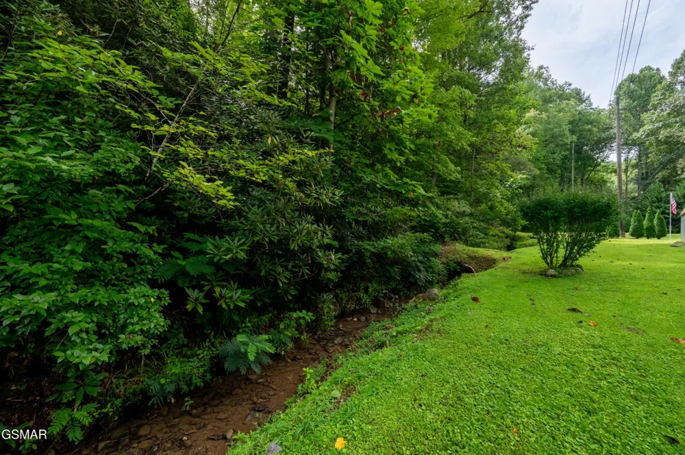4129 Manis Hollow Road Gatlinburg, TN 37738