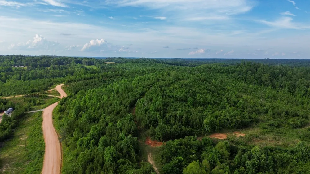 0 Tucker Road Bath Springs, TN 38311