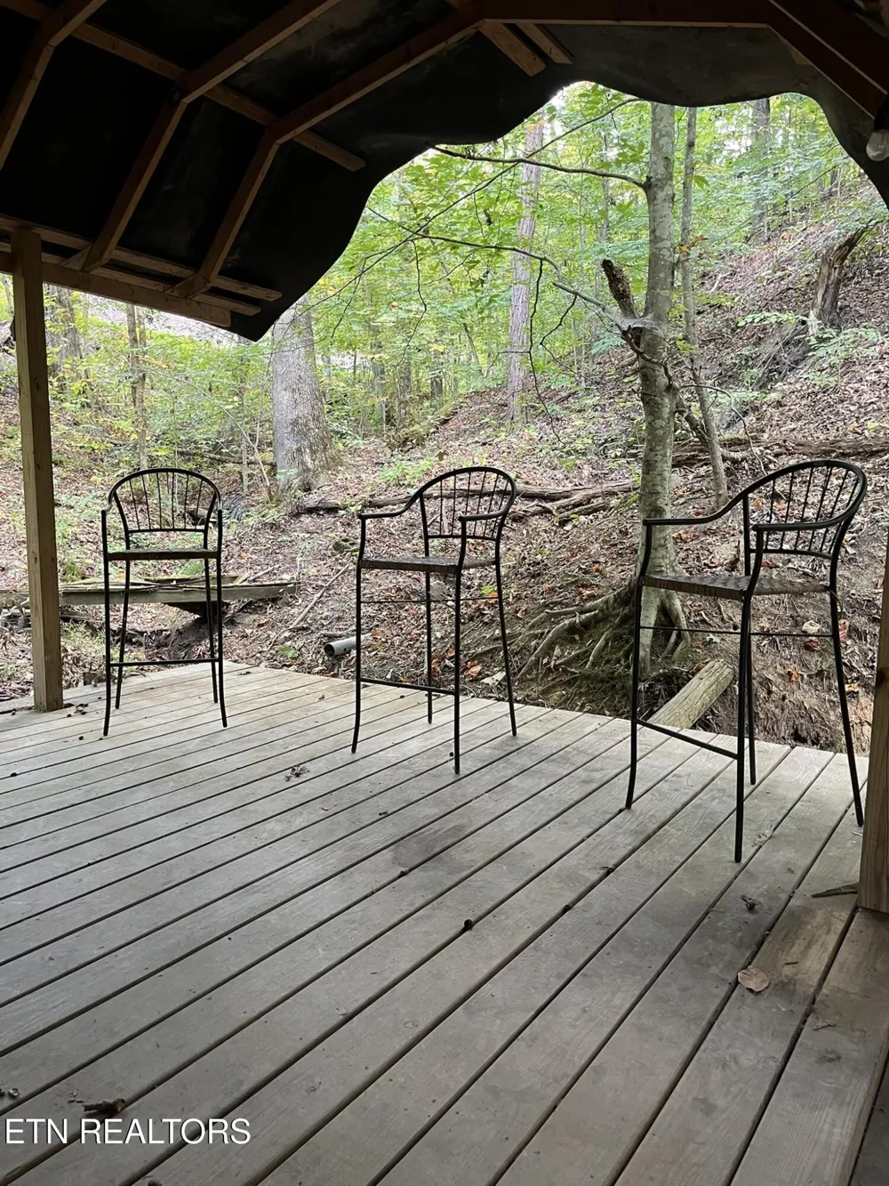 1241 Azalea Lane Newport, TN 37821