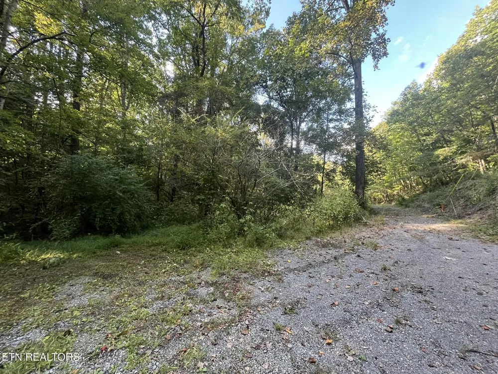 1241 Azalea Lane Newport, TN 37821
