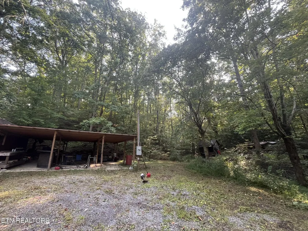 1241 Azalea Lane Newport, TN 37821