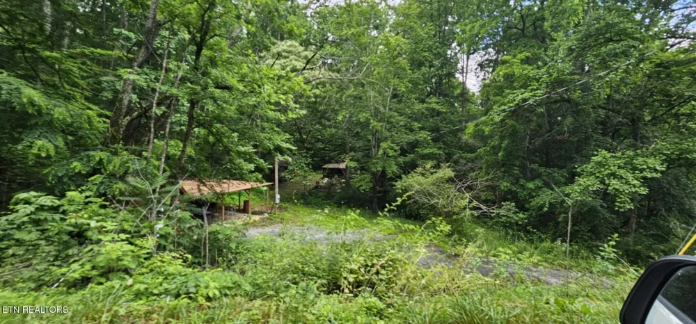 1241 Azalea Lane Newport, TN 37821