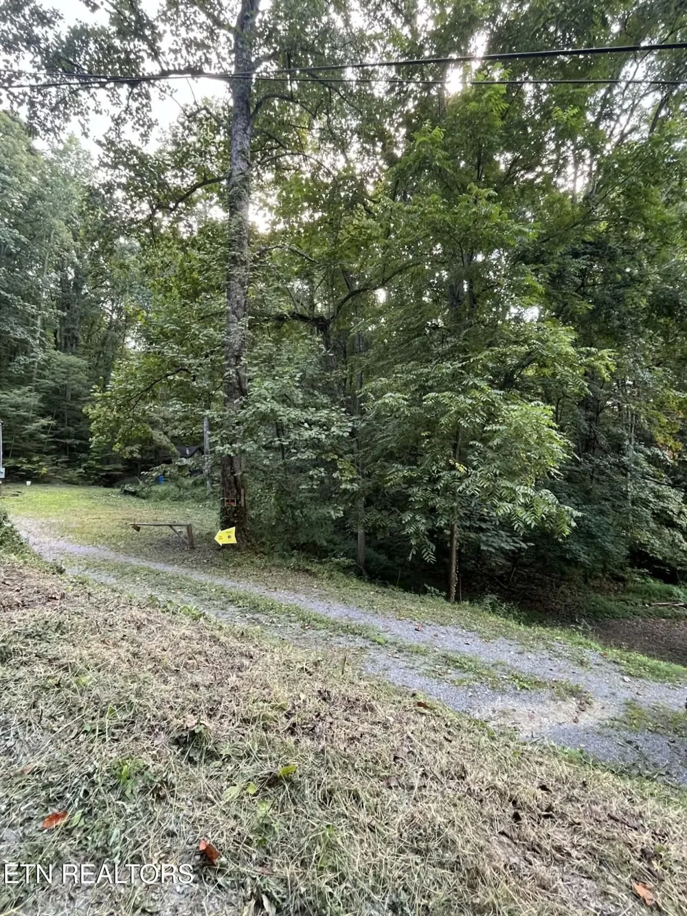 1241 Azalea Lane Newport, TN 37821
