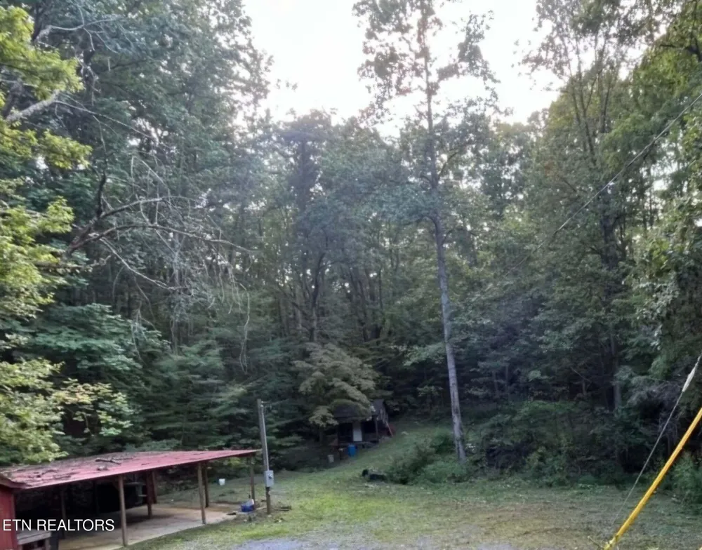 1241 Azalea Lane Newport, TN 37821