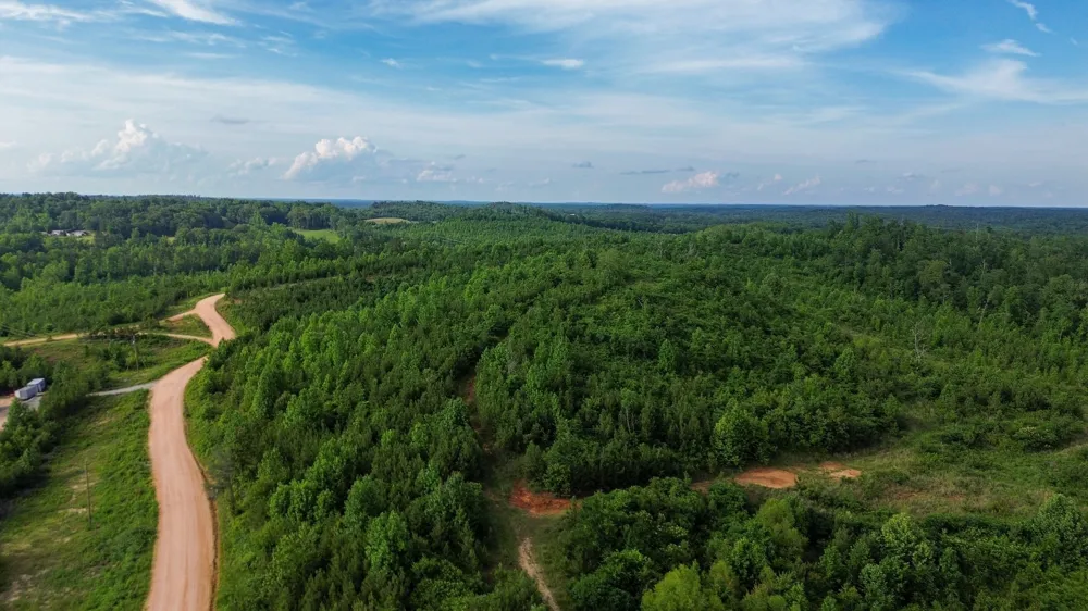 0 Tucker Road Bath Springs, TN 38311