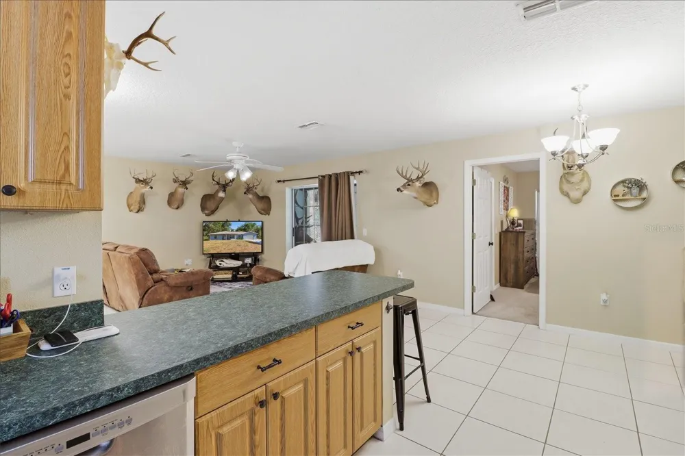 9878 RIVERWOOD DRIVE Crystal River, FL 34428