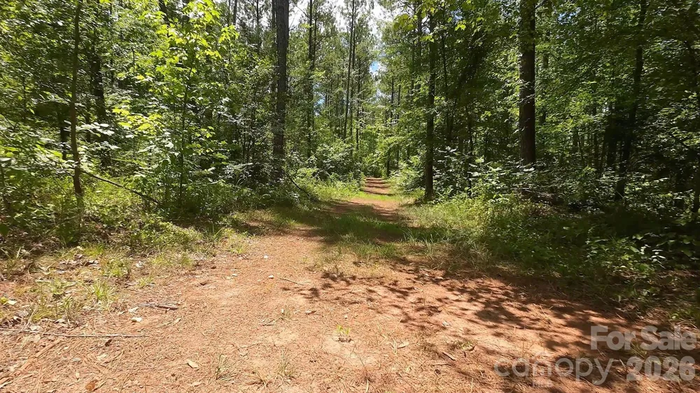 12+/- AC Parson Road #3 McConnells, SC 29726