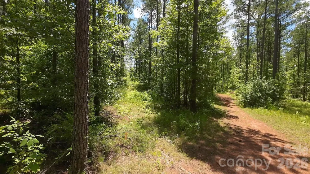 12+/- AC Parson Road #3 McConnells, SC 29726
