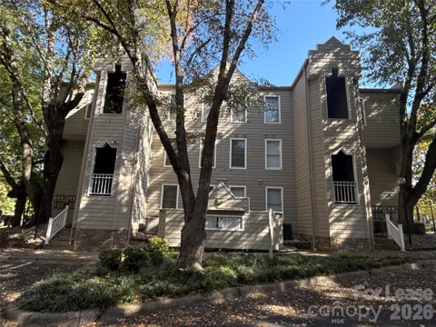 300 S Cedar Street #3