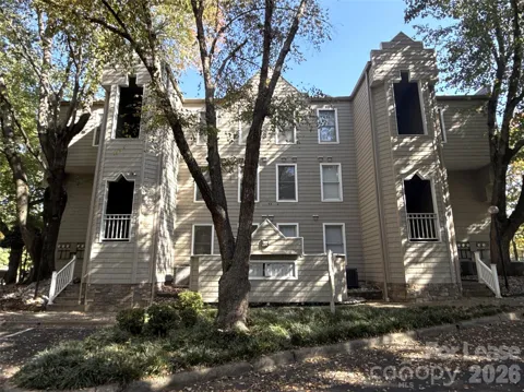 300 S Cedar Street #3