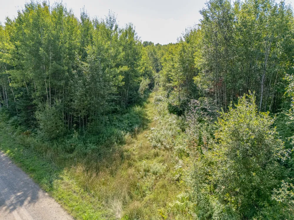 TBD County Rd 523 Effie, MN 56639