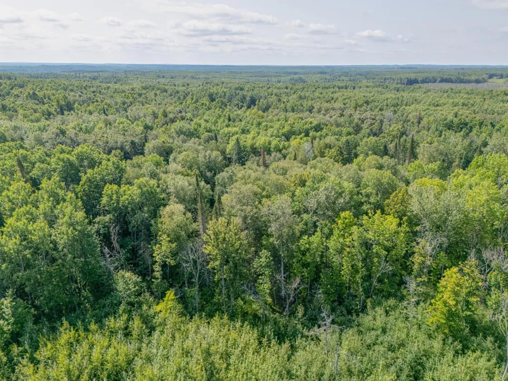 TBD County Rd 523 Effie, MN 56639