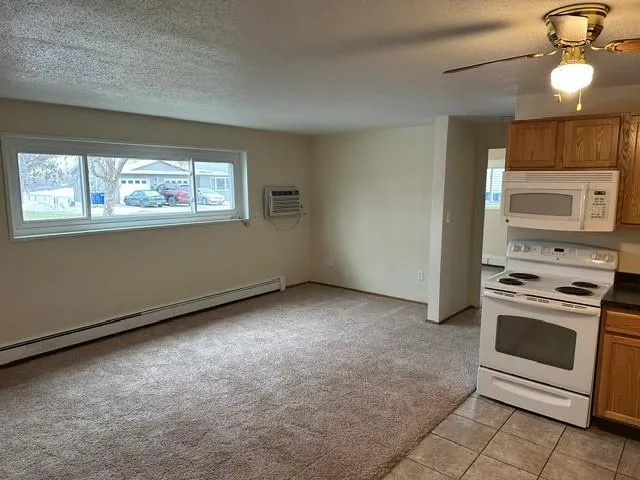 910 Maple Street Lisbon, ND 58054