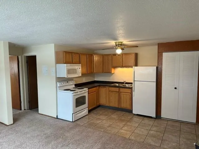 910 Maple Street Lisbon, ND 58054
