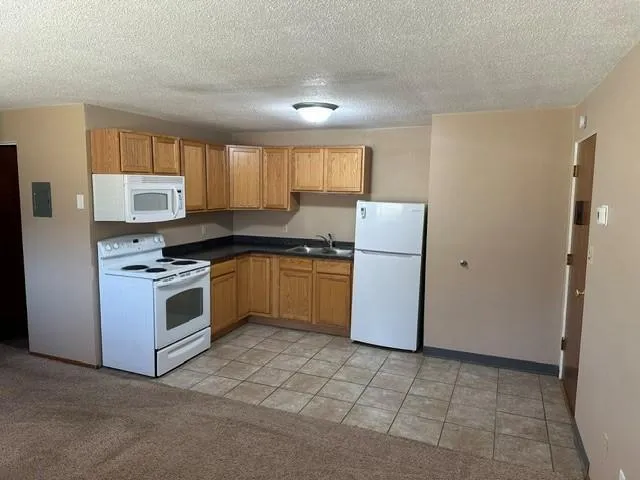 910 Maple Street Lisbon, ND 58054