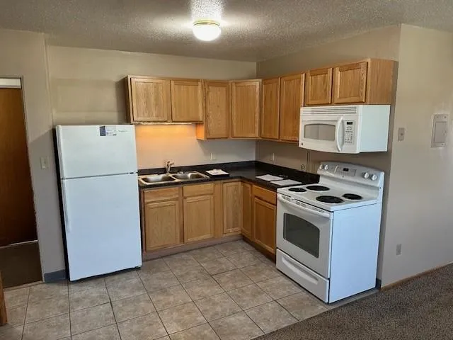 910 Maple Street Lisbon, ND 58054