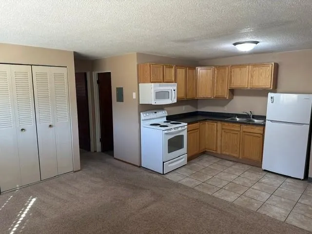 910 Maple Street Lisbon, ND 58054
