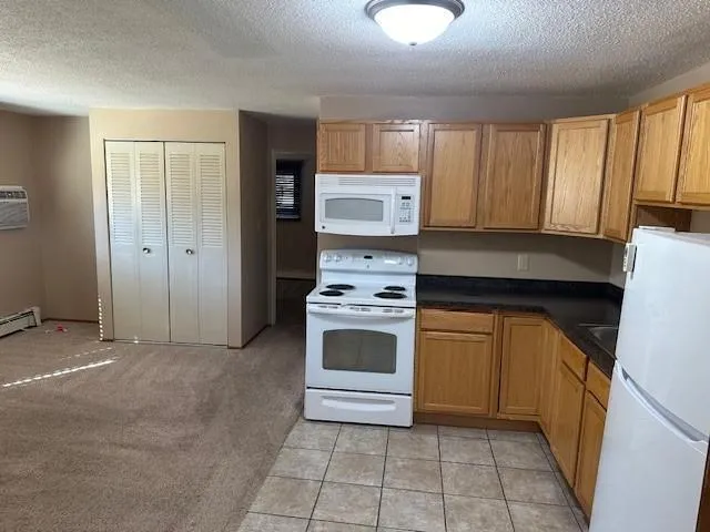 910 Maple Street Lisbon, ND 58054