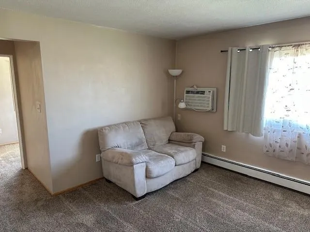 910 Maple Street Lisbon, ND 58054