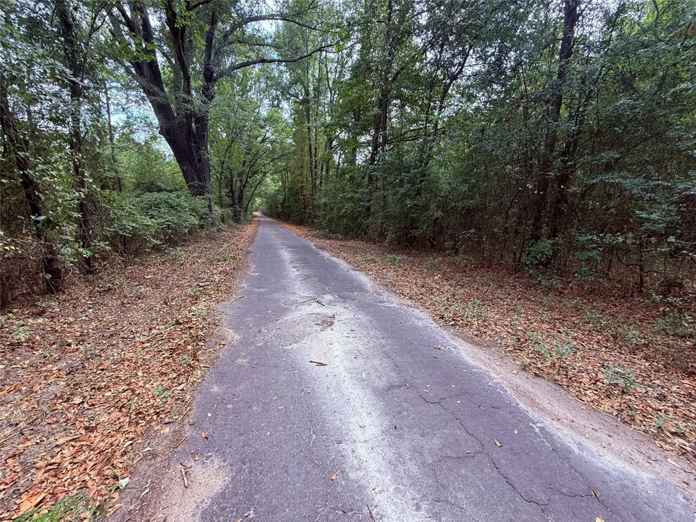 FM 312 Winnsboro, TX 75494
