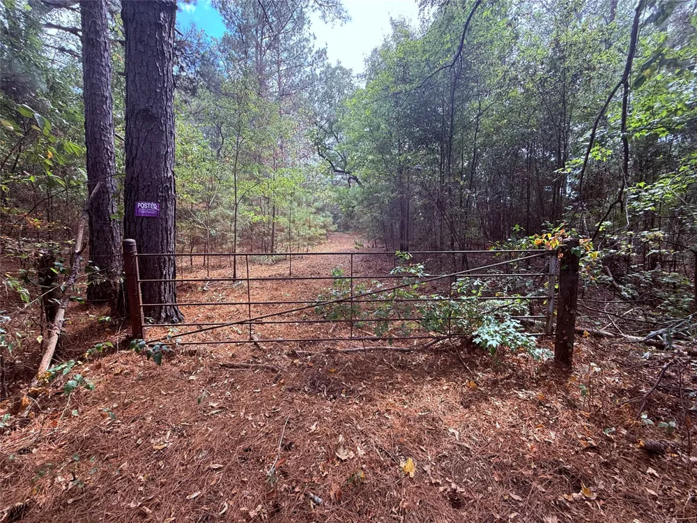 FM 312 Winnsboro, TX 75494