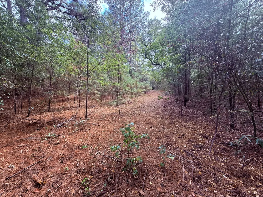 FM 312 Winnsboro, TX 75494