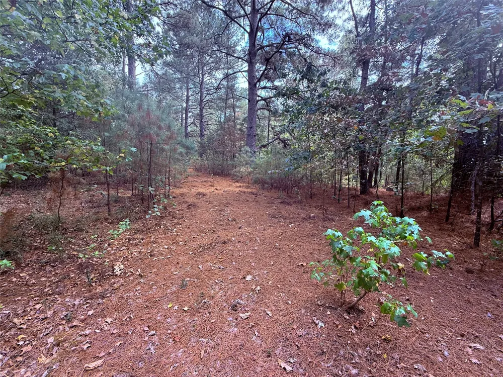 FM 312 Winnsboro, TX 75494