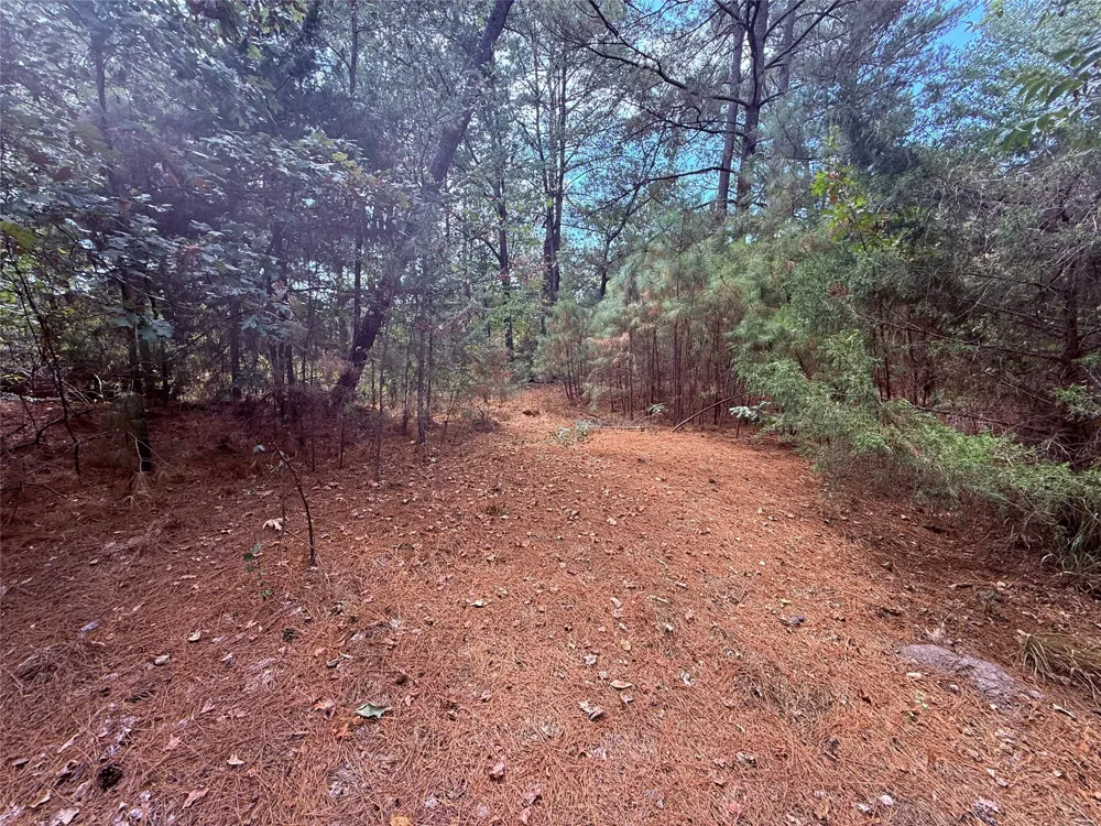 FM 312 Winnsboro, TX 75494