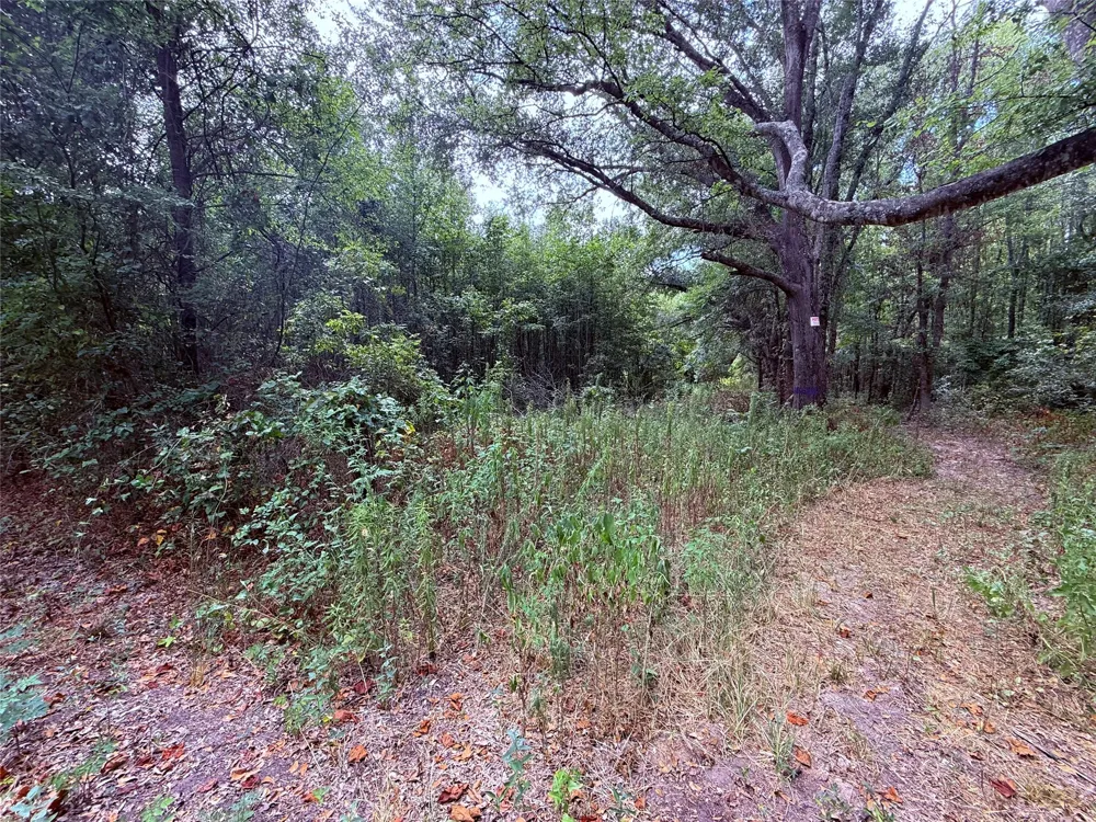 FM 312 Winnsboro, TX 75494