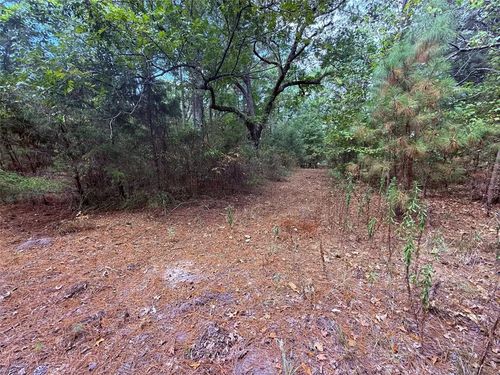 FM 312 Winnsboro, TX 75494