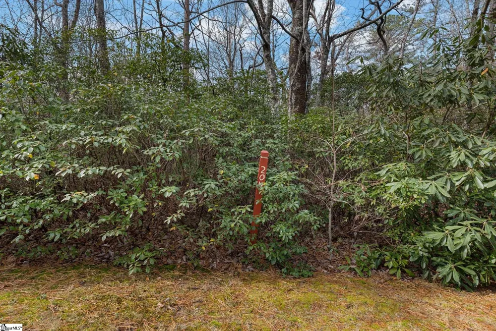 204 Conifer Falls Road Cleveland, SC 29635
