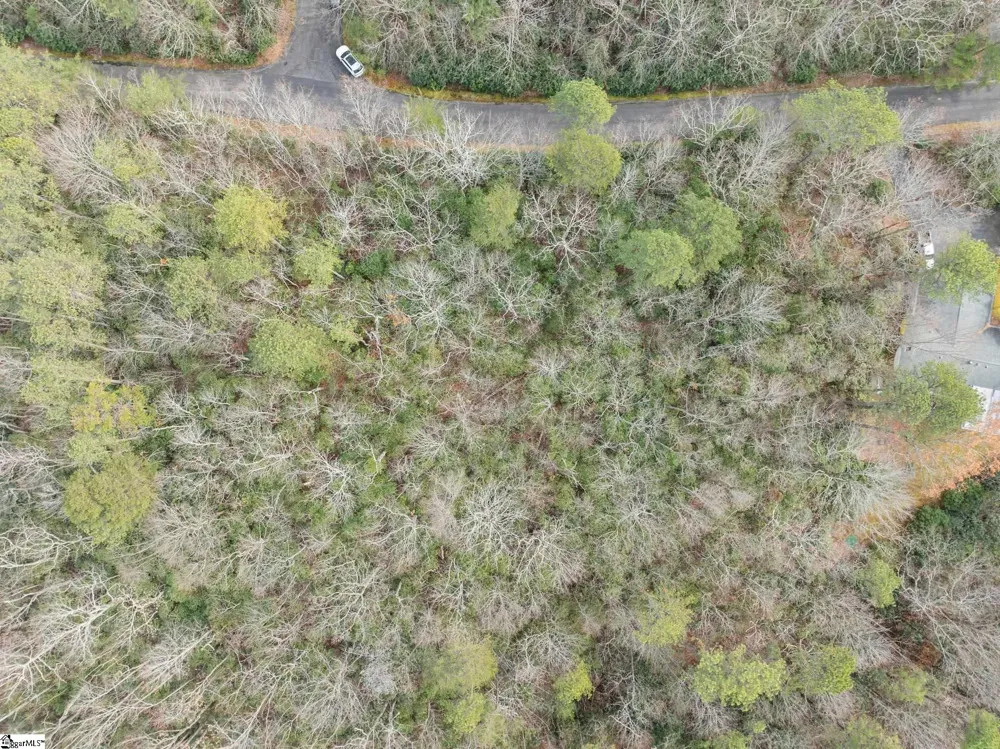 204 Conifer Falls Road Cleveland, SC 29635