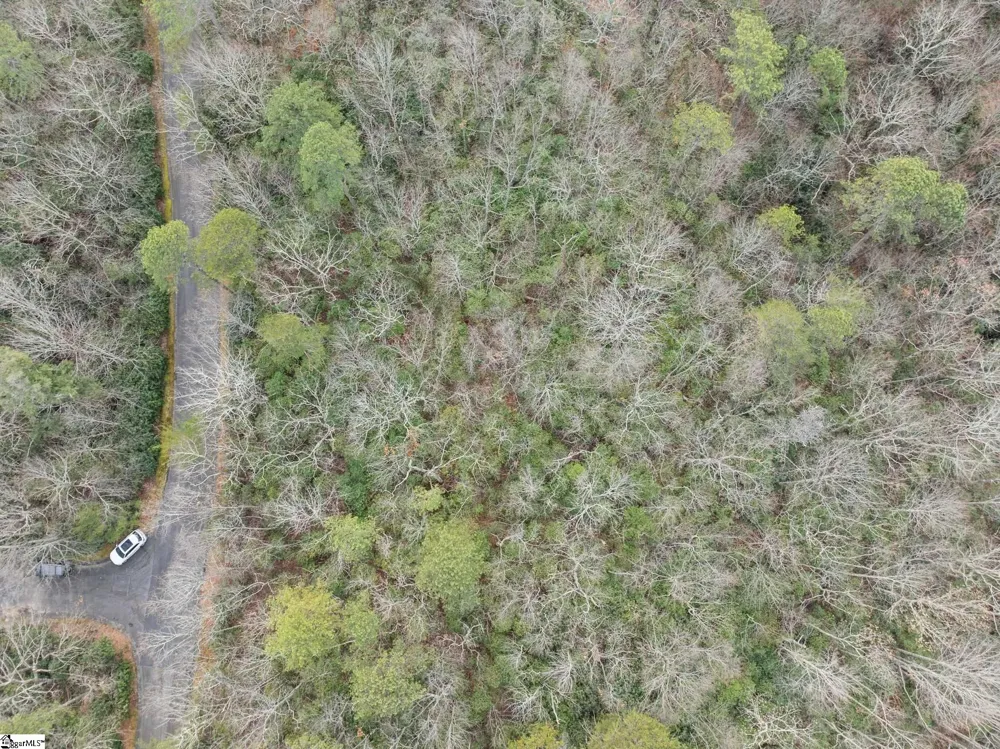 204 Conifer Falls Road Cleveland, SC 29635