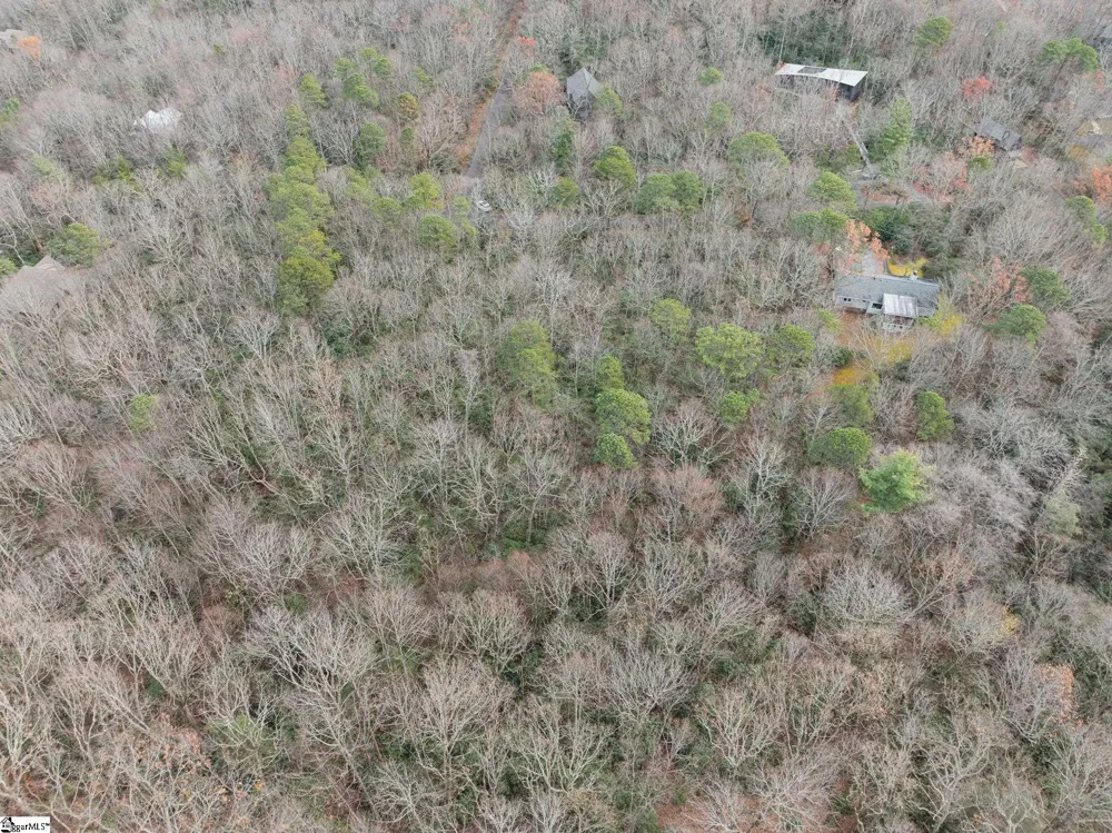 204 Conifer Falls Road Cleveland, SC 29635