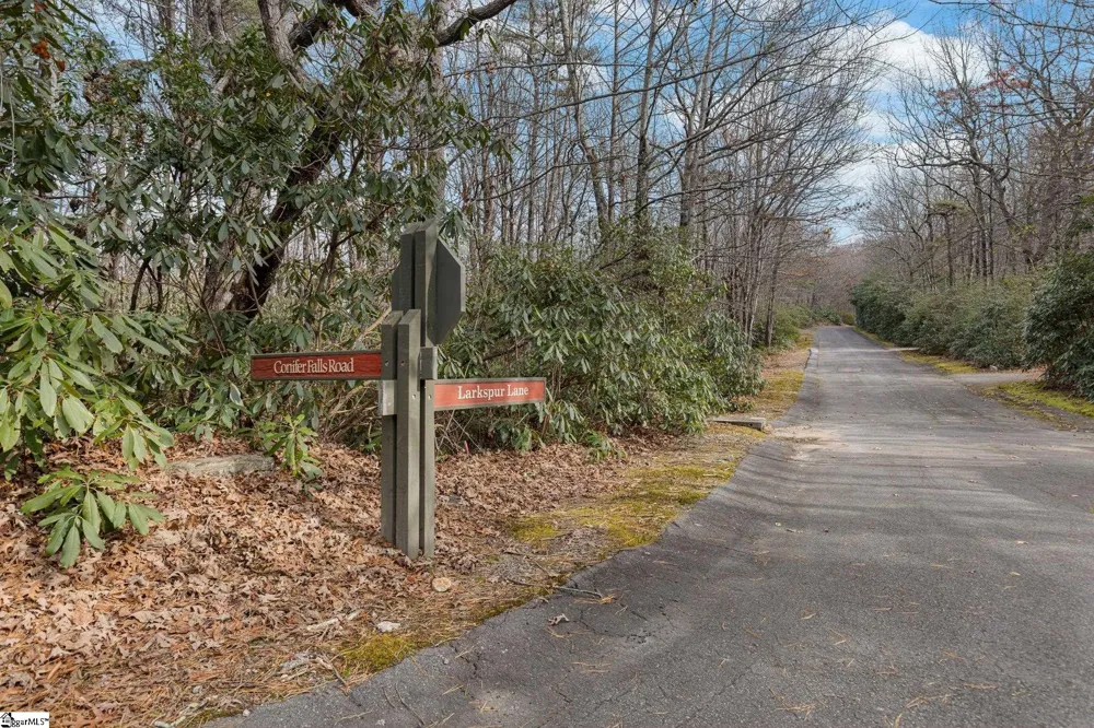 204 Conifer Falls Road Cleveland, SC 29635