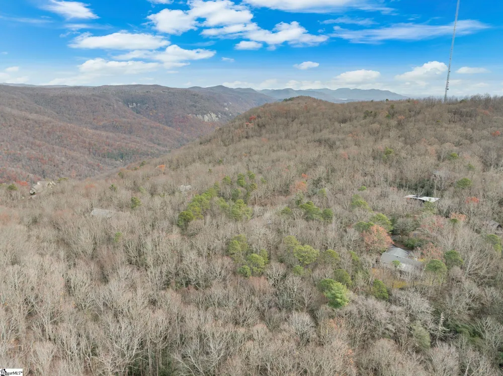 204 Conifer Falls Road Cleveland, SC 29635