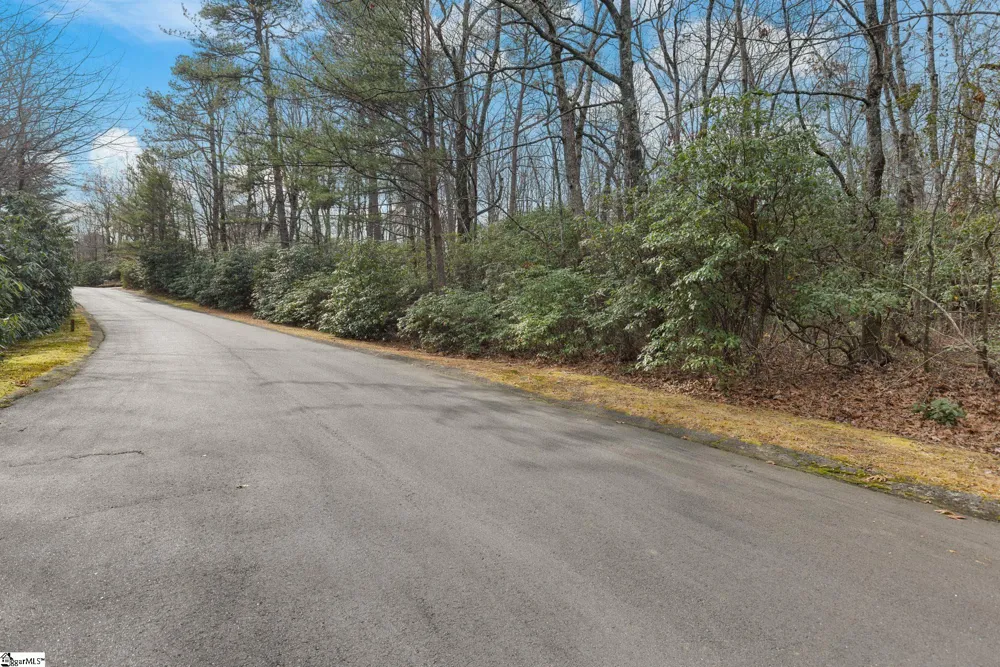 204 Conifer Falls Road Cleveland, SC 29635